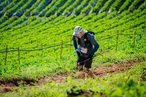 BIB: 
                            <button type="button" onclick="openModal(19161708)" class="btn btn-primary btn-sm float-right btn-popup" data-toggle="modal" data-target=".modal-high-quality">
                        <i class="fas fa-shopping-cart"></i> Add to Cart
                    </button>
                                            <button type="button" onclick="isThisMe(19161708, true)" class="btn btn-success btn-sm float-right btn-popup btn-isme hidden" data-toggle="tooltip" data-placement="bottom" title="นี่คือรูปของคุณใช่ไหม คลิกที่นี่เพื่อเอาเข้าอัลบั้ม">
                        <i class="fas fa-plus"></i> Add to album
                    </button>
                    <button type="button" onclick="isThisMe(19161708, false)" class="btn btn-warning btn-sm float-right btn-popup btn-isnotme hidden">
                        <i class="fas fa-ban"></i> Remove from album
                    </button>